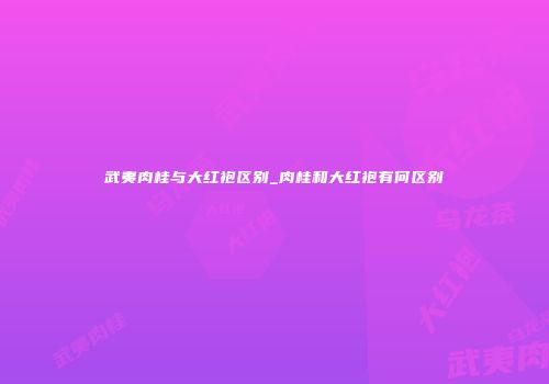 武夷肉桂与大红袍区别_肉桂和大红袍有何区别