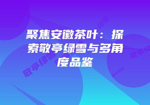 聚焦安徽茶叶：探索敬亭绿雪与多角度品鉴