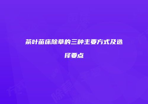 茶叶苗床除草的三种主要方式及选择要点