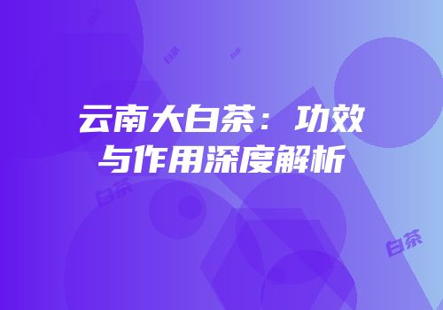 云南大白茶：功效与作用深度解析