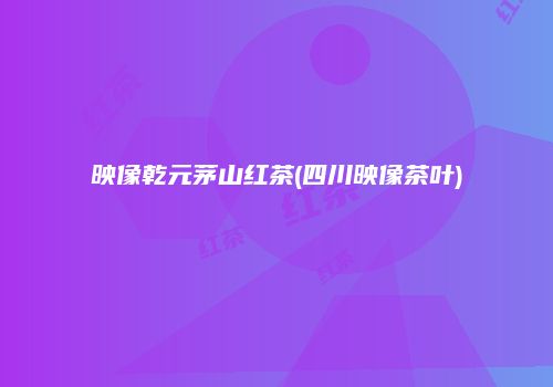 映像乾元茅山红茶(四川映像茶叶)