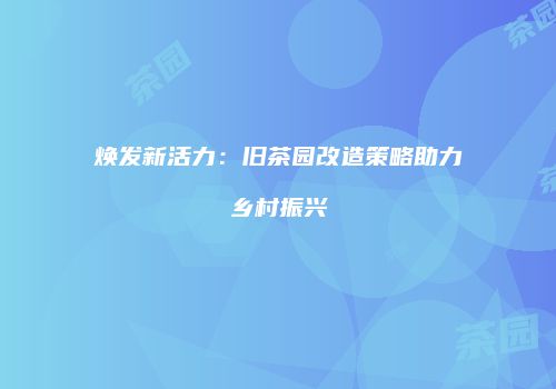 焕发新活力：旧茶园改造策略助力乡村振兴