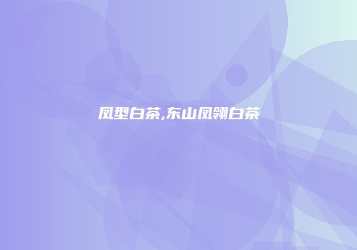 凤型白茶,东山凤翎白茶