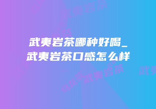武夷岩茶哪种好喝_武夷岩茶口感怎么样