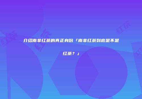 介绍南非红茶的真正身份「南非红茶到底是不是红茶？」