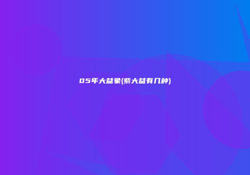 05年大益象(紫大益有几种)