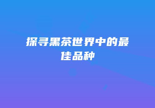 探寻黑茶世界中的最佳品种