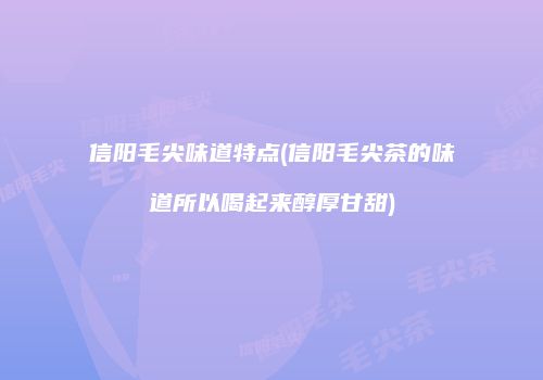 信阳毛尖味道特点(信阳毛尖茶的味道所以喝起来醇厚甘甜)