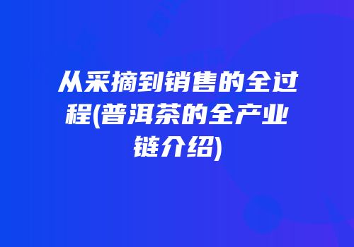 从采摘到销售的全过程(普洱茶的全产业链介绍)