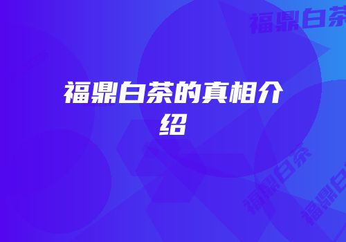 福鼎白茶的真相介绍