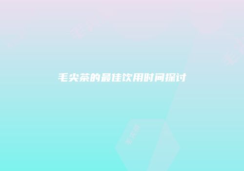 毛尖茶的最佳饮用时间探讨