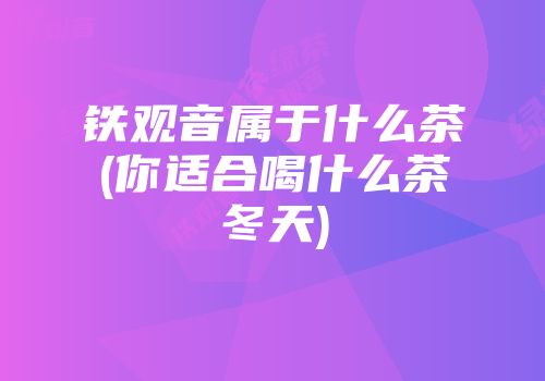铁观音属于什么茶(你适合喝什么茶冬天)