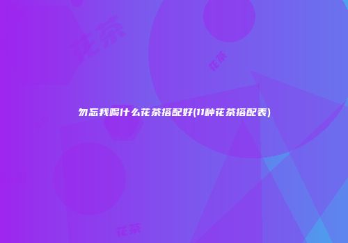 勿忘我喝什么花茶搭配好(11种花茶搭配表)