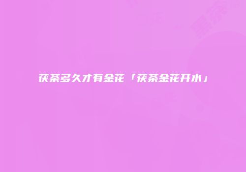 茯茶多久才有金花「茯茶金花开水」