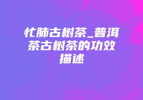 忙肺古树茶_普洱茶古树茶的功效描述