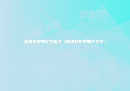 普洱茶属于红茶类吗「普洱茶属于哪个茶系」