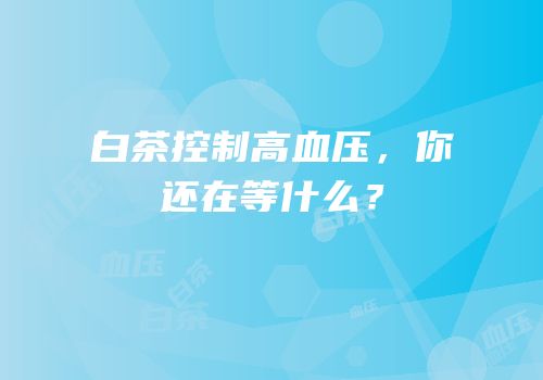 白茶控制高血压，你还在等什么？