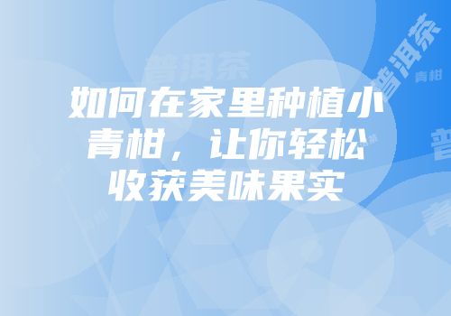 如何在家里种植小青柑，让你轻松收获美味果实
