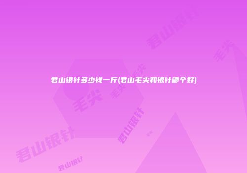 君山银针多少钱一斤(君山毛尖和银针哪个好)