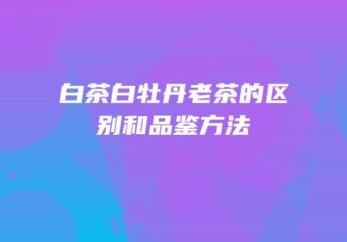 白茶白牡丹老茶的区别和品鉴方法