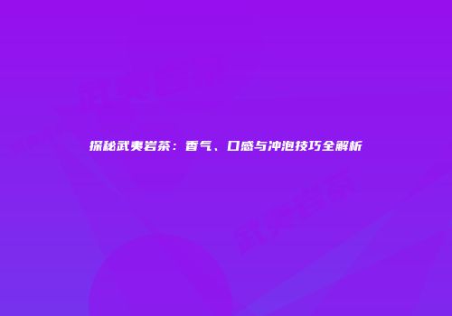 探秘武夷岩茶：香气、口感与冲泡技巧全解析