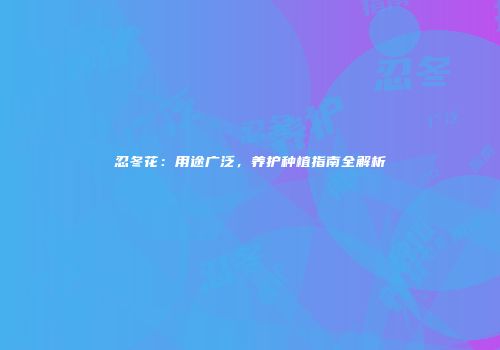 忍冬花：用途广泛，养护种植指南全解析
