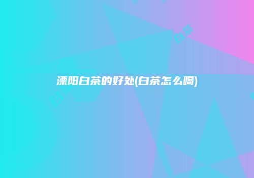 溧阳白茶的好处(白茶怎么喝)