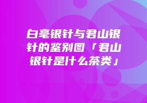白毫银针与君山银针的鉴别图「君山银针是什么茶类」