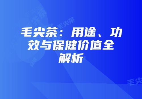 毛尖茶：用途、功效与保健价值全解析