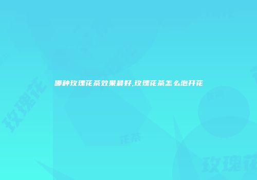哪种玫瑰花茶效果最好,玫瑰花茶怎么泡开花