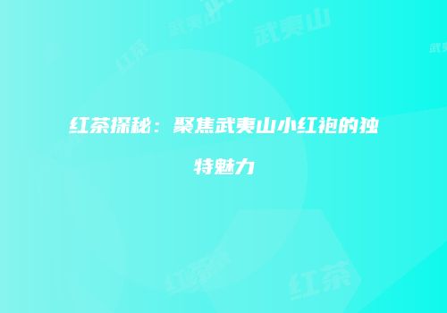 红茶探秘：聚焦武夷山小红袍的独特魅力