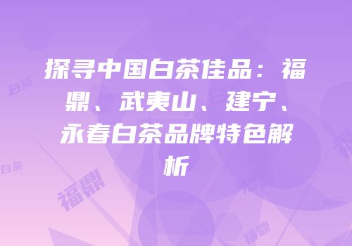 探寻中国白茶佳品：福鼎、武夷山、建宁、永春白茶品牌特色解析