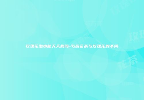 玫瑰花泡水能天天喝吗-芍药花茶与玫瑰花的不同