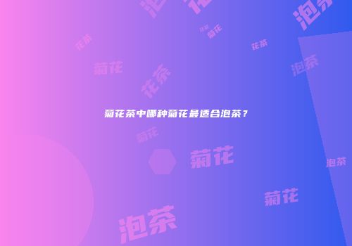 菊花茶中哪种菊花最适合泡茶？