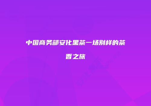 中国商务部安化黑茶一场别样的茶香之旅