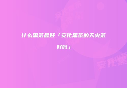 什么黑茶最好「安化黑茶的天尖茶好吗」
