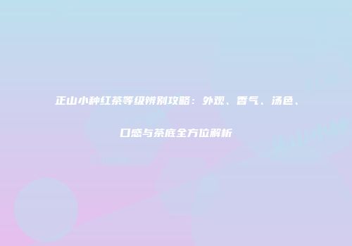 正山小种红茶等级辨别攻略：外观、香气、汤色、口感与茶底全方位解析