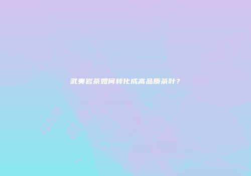 武夷岩茶如何转化成高品质茶叶？