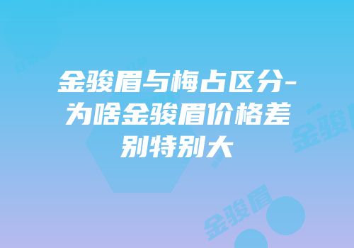 金骏眉与梅占区分-为啥金骏眉价格差别特别大