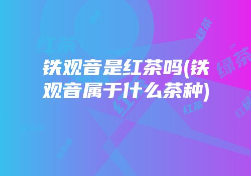 铁观音是红茶吗(铁观音属于什么茶种)