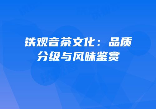 铁观音茶文化：品质分级与风味鉴赏
