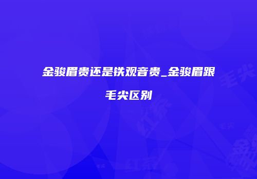 金骏眉贵还是铁观音贵_金骏眉跟毛尖区别