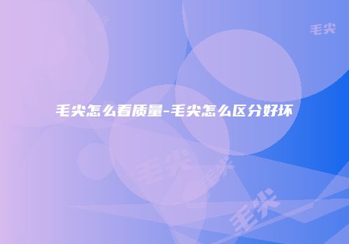 毛尖怎么看质量-毛尖怎么区分好坏
