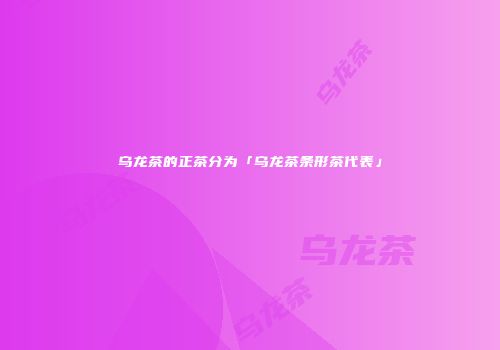 乌龙茶的正茶分为「乌龙茶条形茶代表」