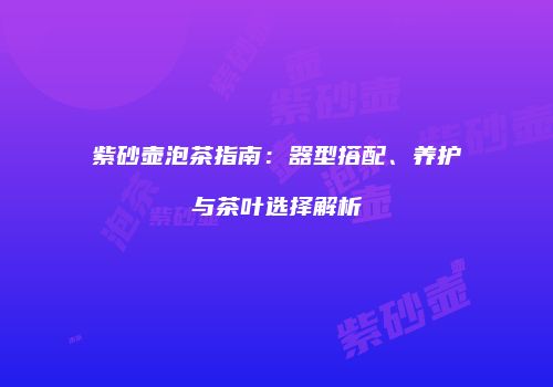 紫砂壶泡茶指南：器型搭配、养护与茶叶选择解析