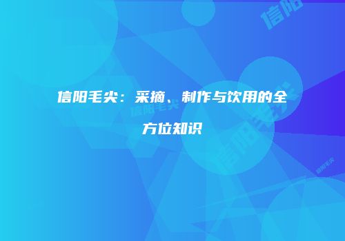 信阳毛尖：采摘、制作与饮用的全方位知识