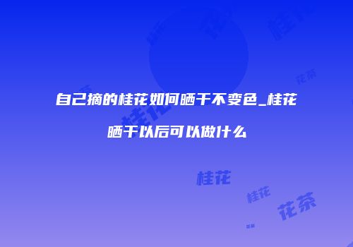 自己摘的桂花如何晒干不变色_桂花晒干以后可以做什么