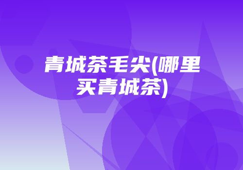 青城茶毛尖(哪里买青城茶)