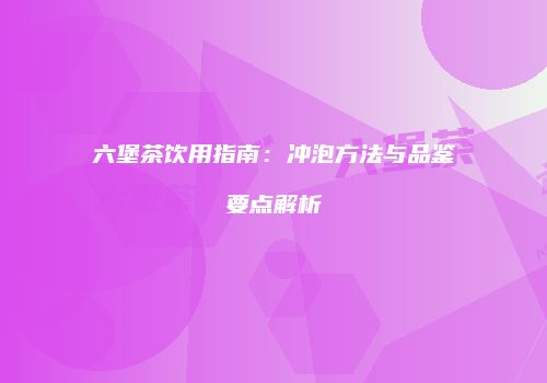 六堡茶饮用指南：冲泡方法与品鉴要点解析