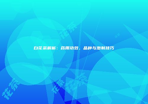 白花茶解析：药用功效、品种与泡制技巧